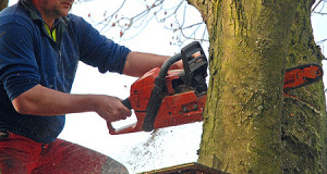 Foto: pixelio.de - Paul-Georg Meister