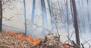 Foto: Feuerwehr Bad Urach