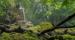 Foto: Photoclub Reutlingen