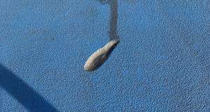 Foto: Facebook Boris Palmer