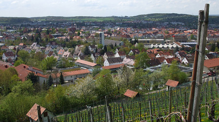 Metzingen: Blick vom Weinberg (Quelle: pixelio.de - Achim D&ouml;rnach)