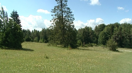 Biosph&auml;rengebiet Schw&auml;bische Alb (Quelle: RTF.3)