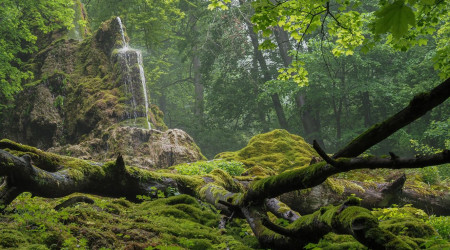 Foto: Photoclub Reutlingen