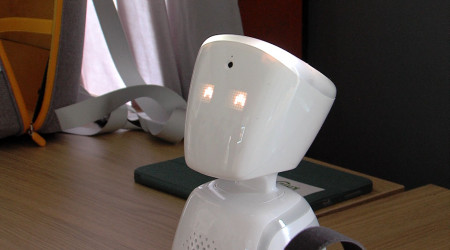 Dieser kleine Roboter ist ein Avatar (Quelle: RTF.3)