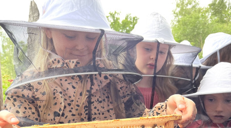 Kind und Bienenwaben (Quelle: Mellifera e. V.)